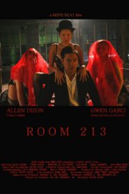 Room 213 (2008)